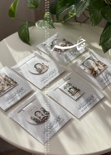 فاصل مغناطيسي