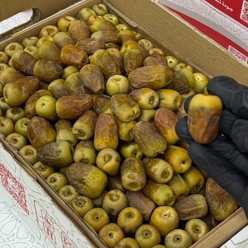 شيشي مطوق - فاخر