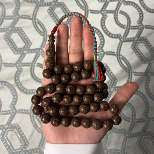 دارسين فواح