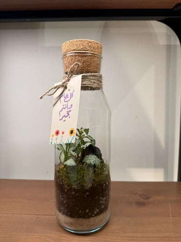 حوض زجاجي مغلق: غابة مصغرة بداخل حوض زجاجي مغلق.