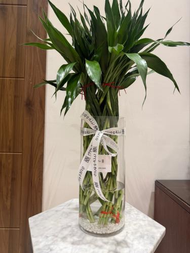 رزمة بامبو مجدول مع فازة زجاج