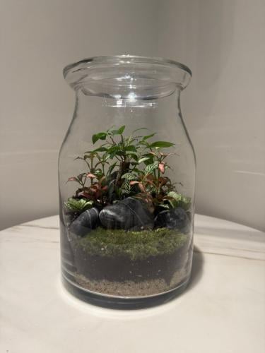 غابة نبتة و وردة حجم كبير