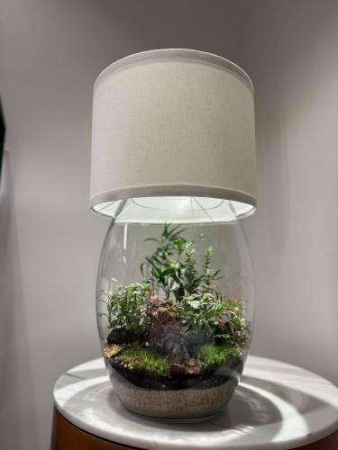 غابة نبتة و وردة المميزة اباجورة