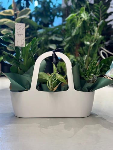 سلة السعادة هدية جميلة