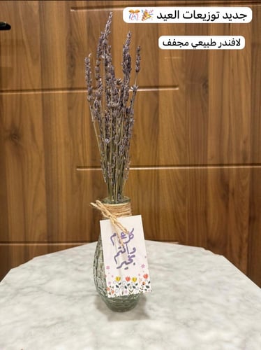 توزيعات لافندر