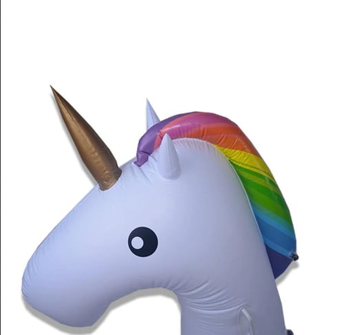 Trumpet Unicorn Float