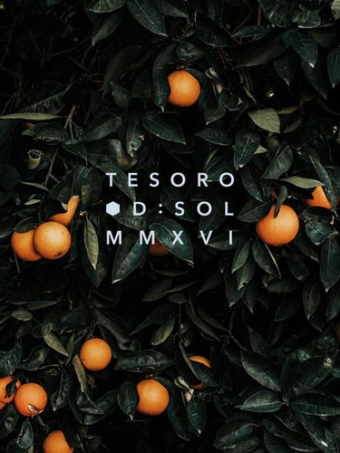 دي سول تيسورو 75مل