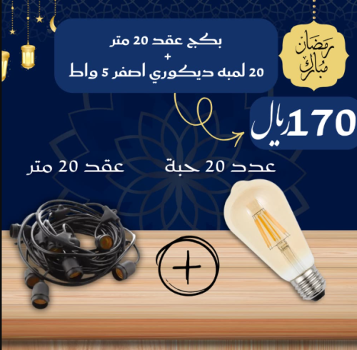بكج عقد زينة 20 متر + عدد 20 لمبة كروي ديكوري فيلم...