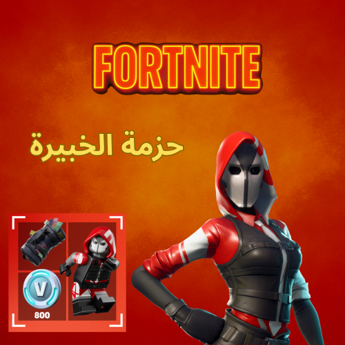 حزمة الخبيرة