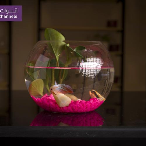 حوض سمك منزلي -RC402