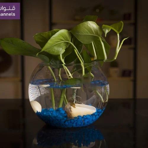 حوض سمك زينه -RC401