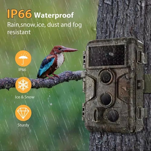 كاميرات الرصد