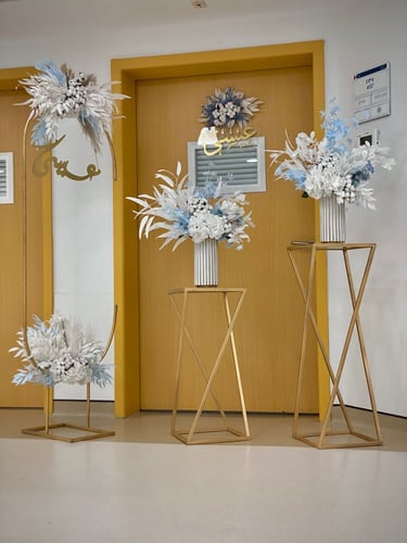 ستاند مواليد 6 قطع