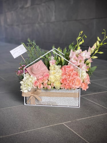 تنسيق ستاند كوخ