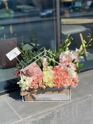 تنسيق ستاند كوخ