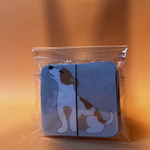 تطابق اجزاء الحيوانات