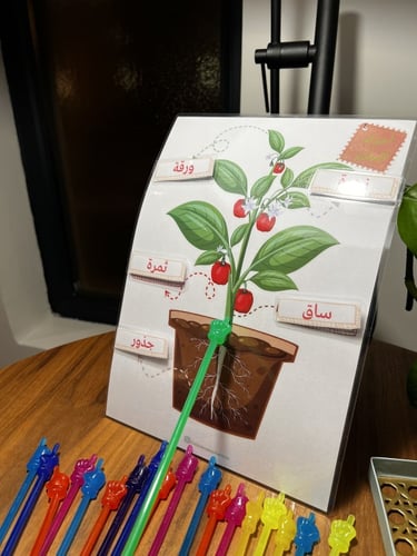 عود تتبع للقراءة