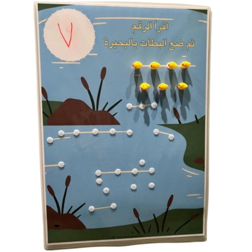 العدد ومدلولة