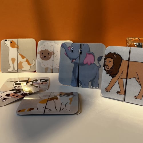 تطابق اجزاء الحيوانات