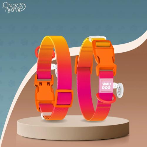 WAUDOG Nylon Recycled dog collar with QR-passport, gradient, plastic fastex, L, W 25 mm, L 33-49 cm