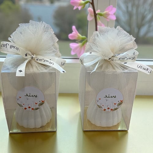 مبخرة توزيعات بالحـبه