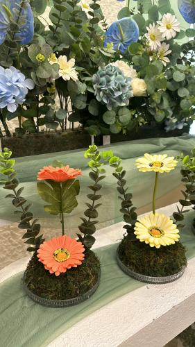 فازة ورد ميني