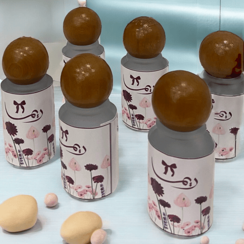 بكج استقبال