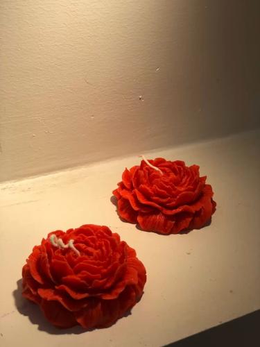 شموع الجوري احمر(12)