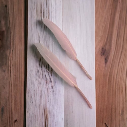 ريش وردي للتزيين (12 حبة)