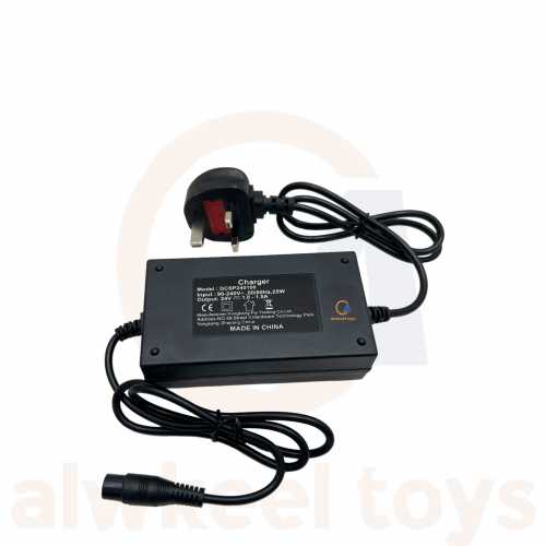 شاحن سكوتر 24 فولت مدخل كبير