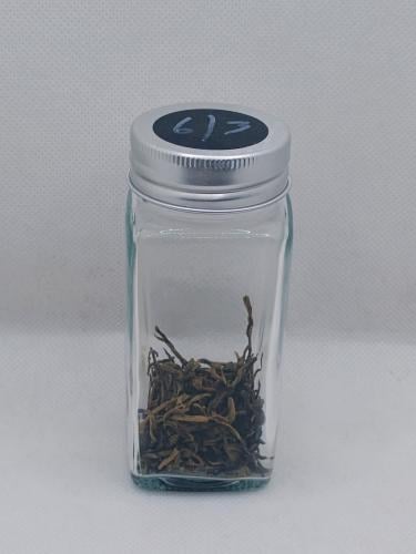 6/3 - الذهبي 2 (اسود) 5غ