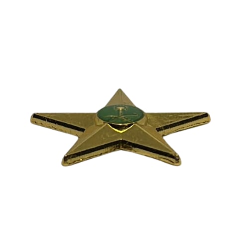 ملصق حديد نجمة الضابط 3D