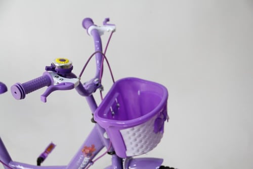 سيكل بناتي مقاس 20