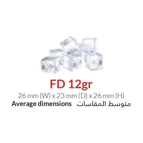 Ice machine FD 100 - Euroice