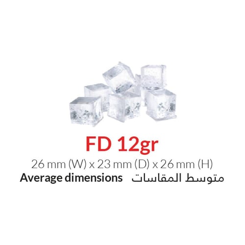 Ice machine FD 70 - Euroice