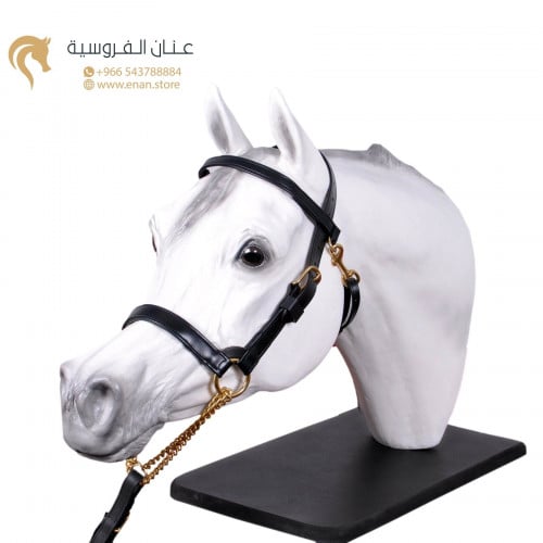 رشمة تدريب (صغير)