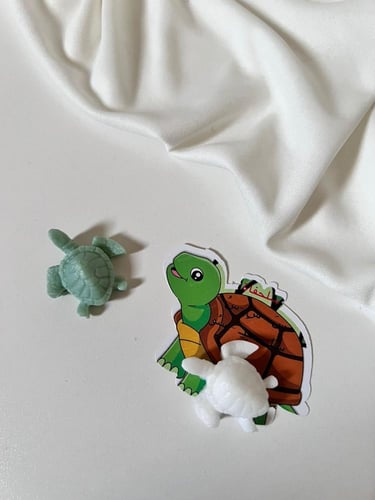 ثيم ‏مع صابون ‏شكل سلحفاة تصميم حسب الطلب