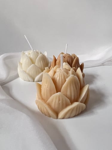 شمعة وردة اللوتس