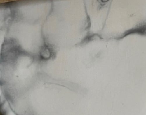 قالب مع غطاء