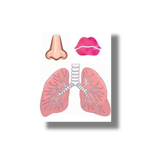 ثيمات مفهوم كيف اتنفس جاهز للطباعة