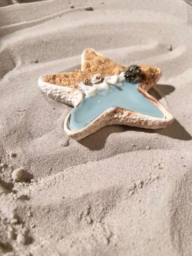 شمعه نجمة البحر