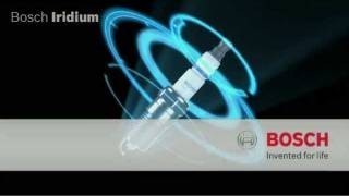 طقم بواجي بوش دوبل ايريديوم ل فورد ايدج ( طقم ٦ حب...