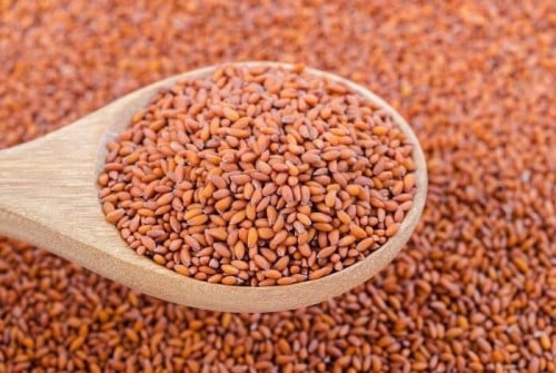 حب الرشاد هندي