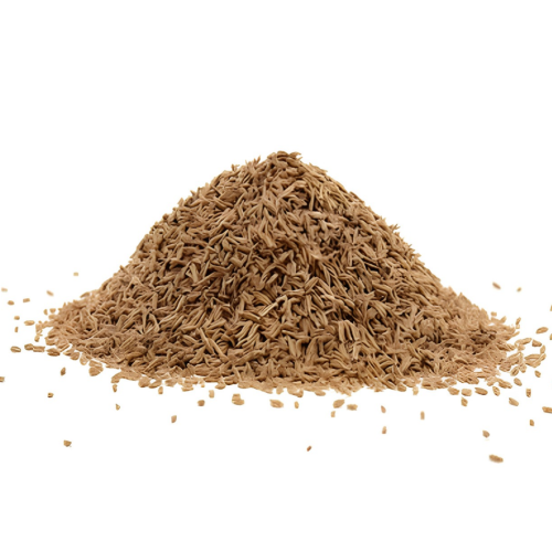 Carrot seeds