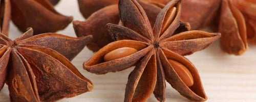 نجمة اليانسون اليوناني