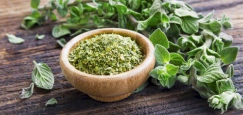 زعتر الاوريجانو