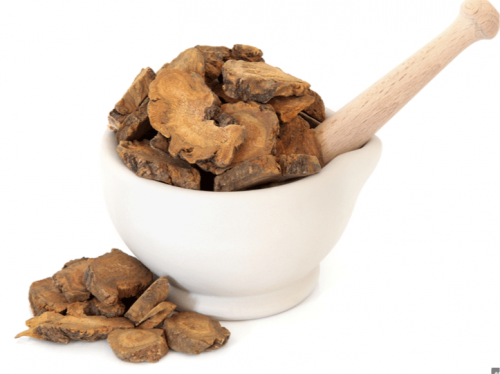 عشبة الراوند