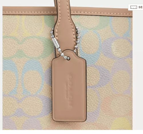 حقيبة كوتش City Tote Bag In Rainbow