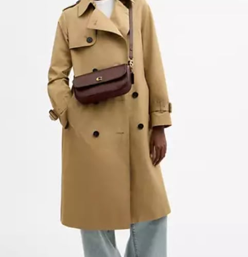 حقيبة كوتش Brook Flap Chain Bag