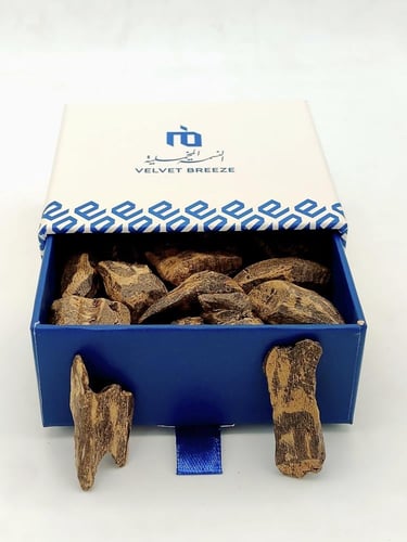 عود فلبينيVIP